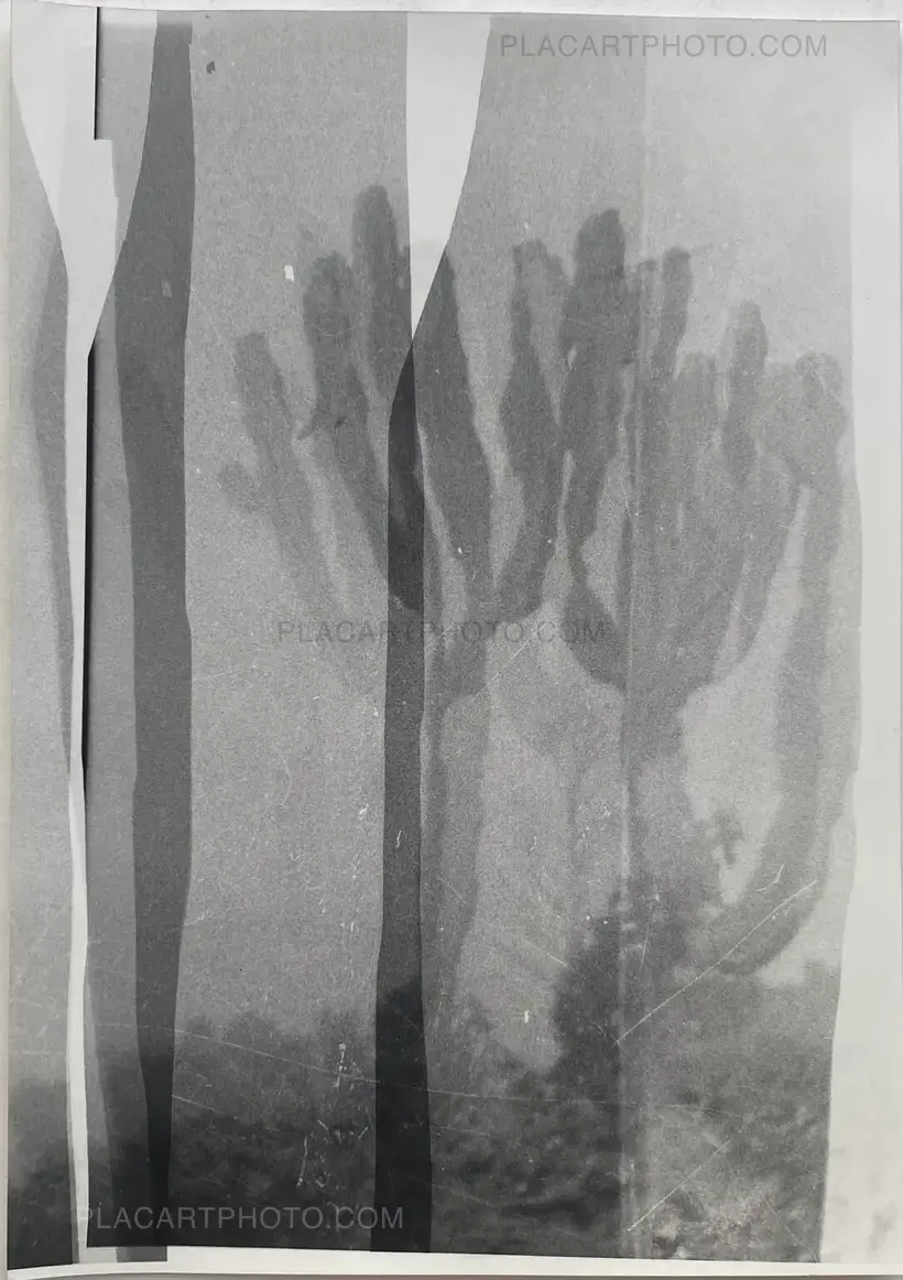 MALIA (SIGNED AND NUMBERED, edt of 3)