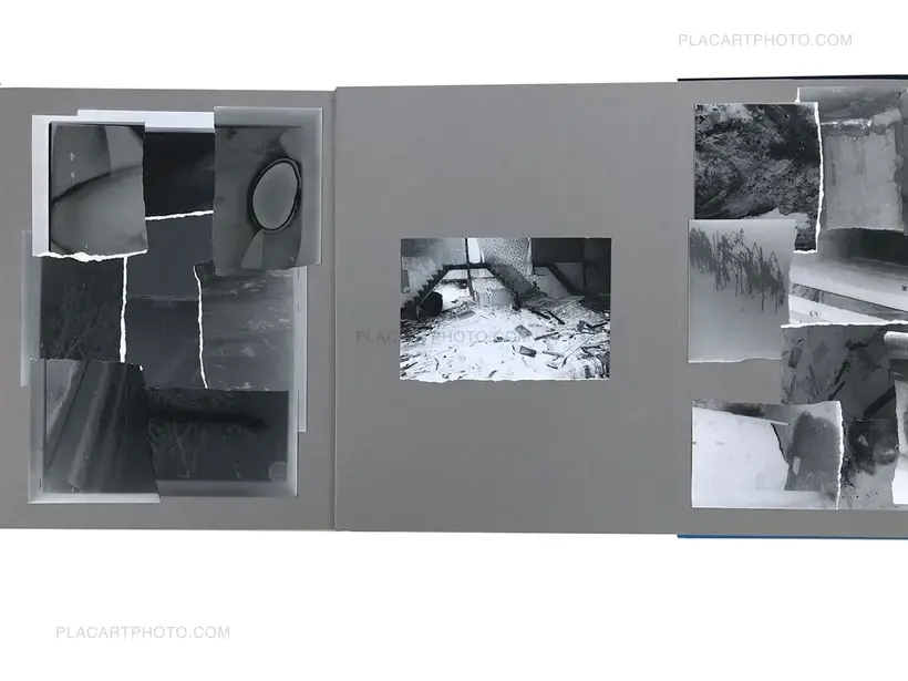 Bones apart (GREY EDITION, ARTIST'S EDITON 2/3)