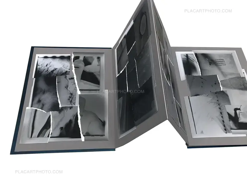 Bones apart (GREY EDITION, ARTIST'S EDITON 2/3)