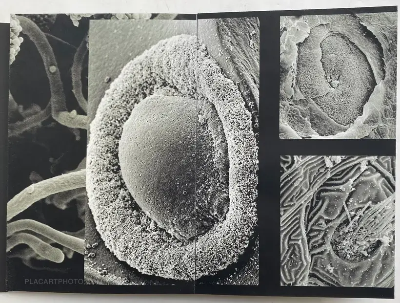 END TIME (Dummy, edt of 3)