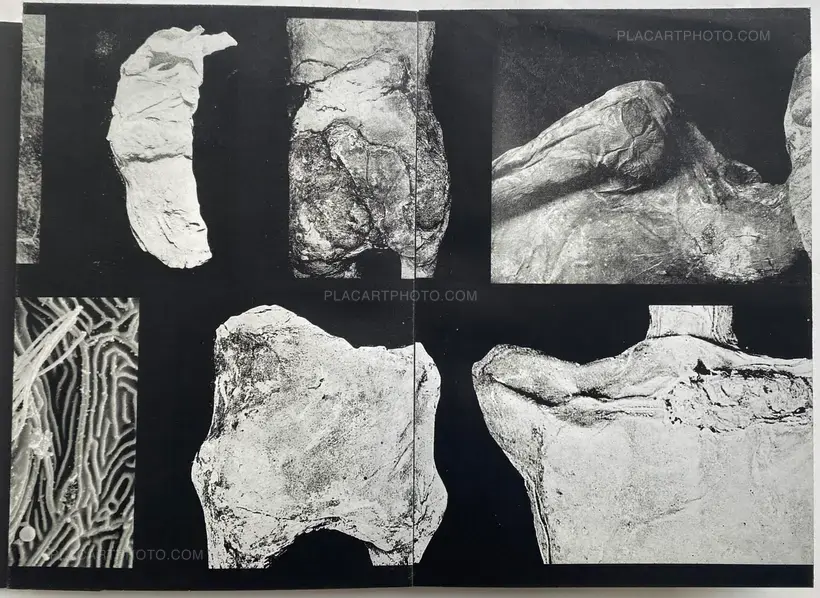 END TIME (Dummy, edt of 3)