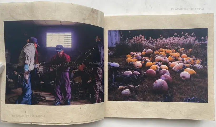 Rhapsodie WADATSUMI (SIGNED AND NUMBERED, edt of 30)