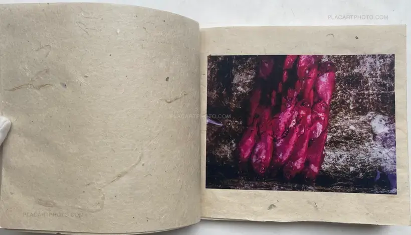 Rhapsodie WADATSUMI (SIGNED AND NUMBERED, edt of 30)