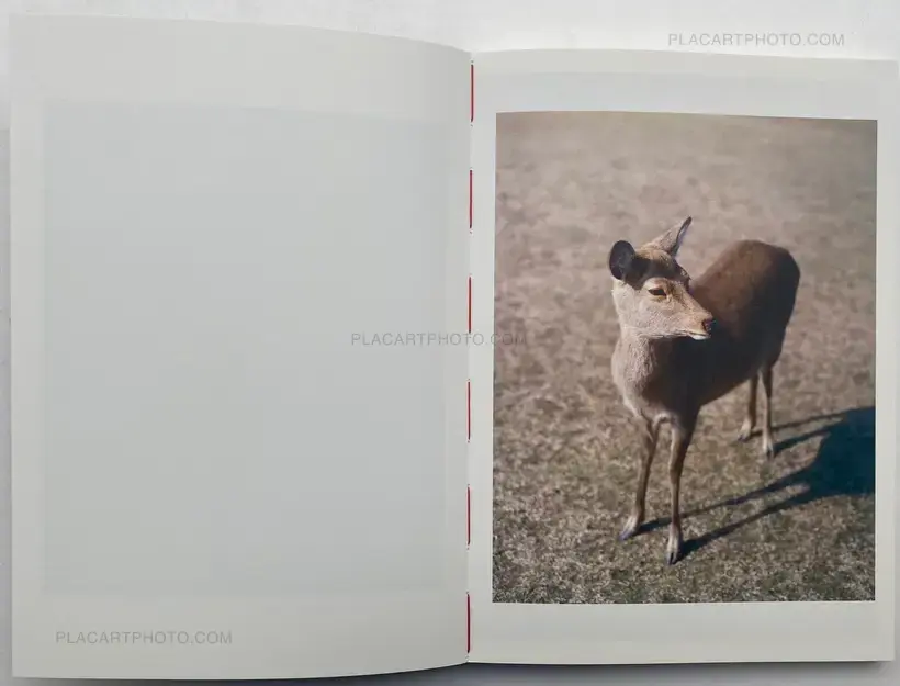 SUMIMASEN (EDT OF 300)