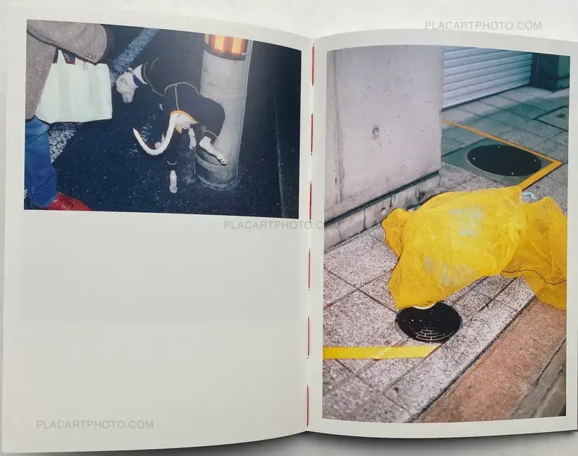 SUMIMASEN (EDT OF 300)