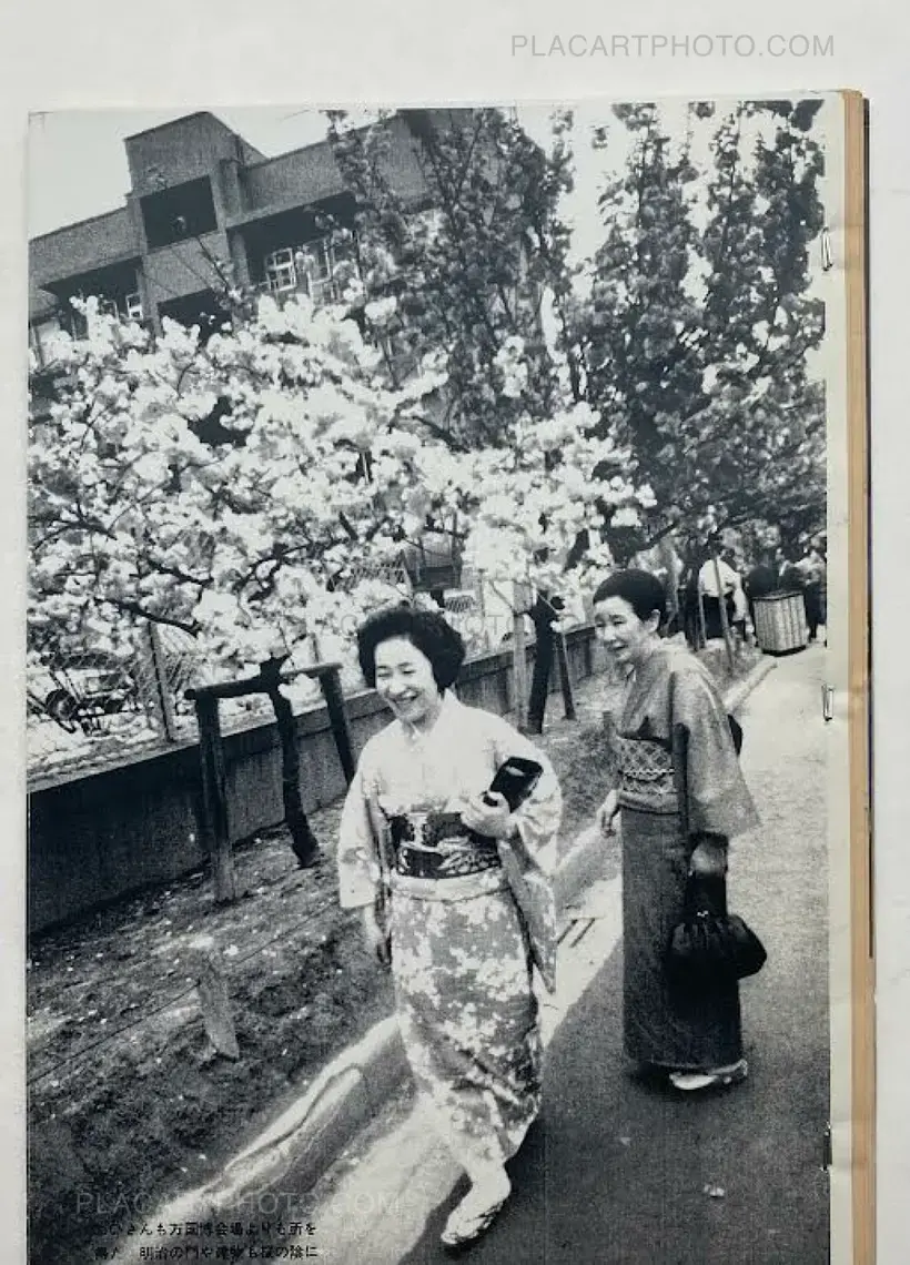 Asahi Journal (07/06) #4 (UNIQUE and SIGNED)