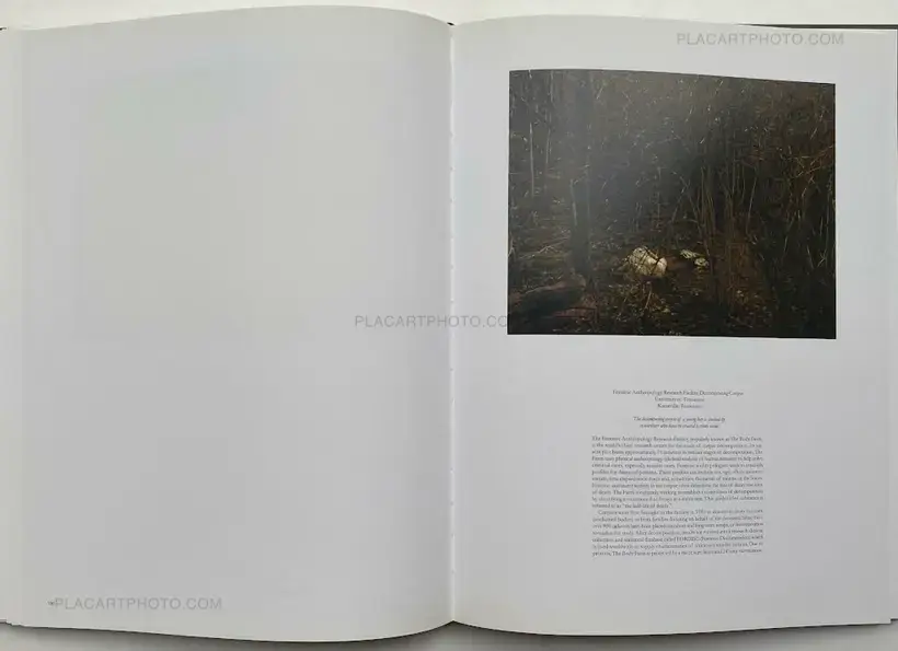 An American Index of the Hidden and Unfamiliar