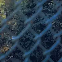 Sons of Adam: Landscape for the homeless II