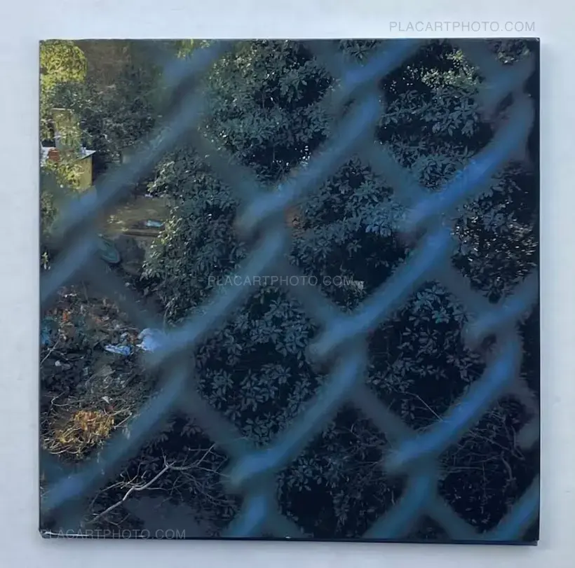 Sons of Adam: Landscape for the homeless II