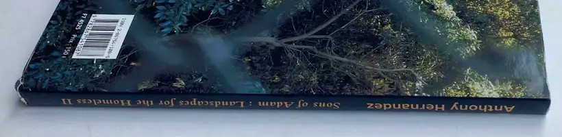 Sons of Adam: Landscape for the homeless II