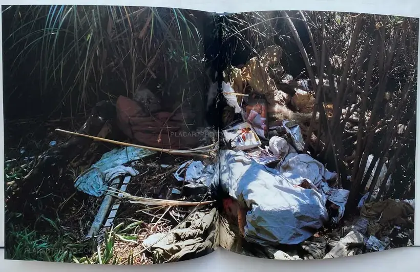 Sons of Adam: Landscape for the homeless II