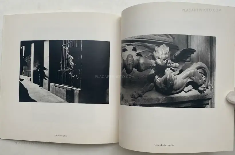 PARIS LIGHT (SIGNED)