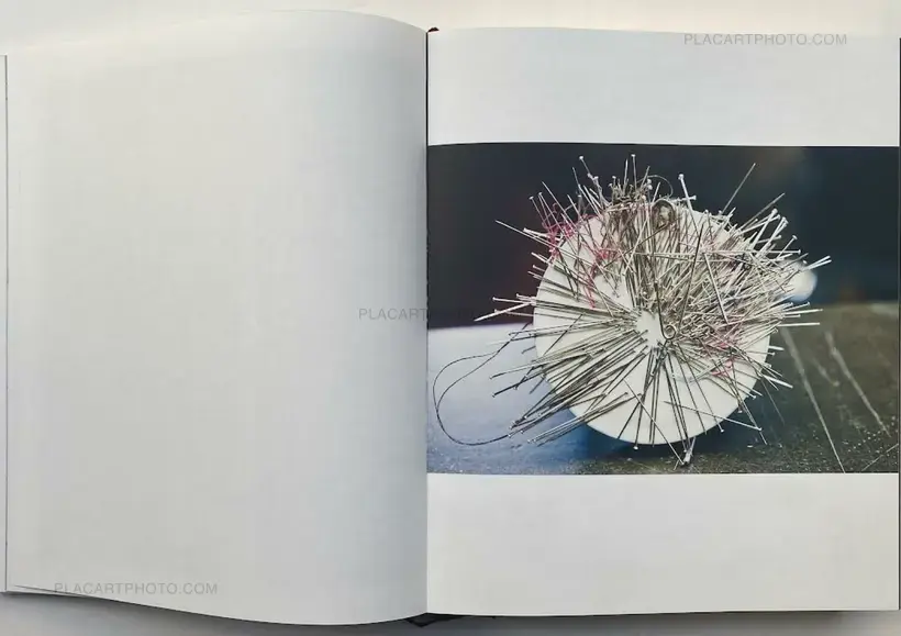 Albert Elbaz, Lanvin