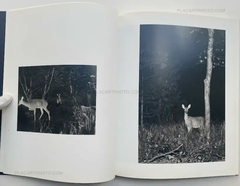 L'intérieur de la nuit