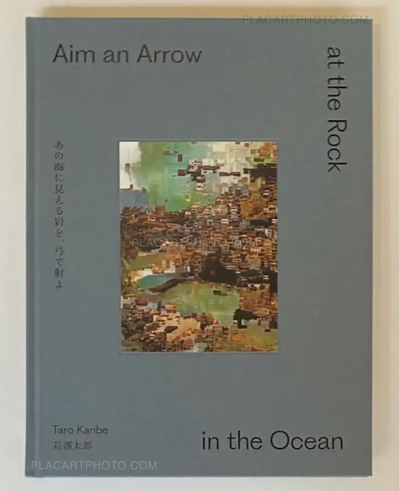 Aim an Arrow at the Rock in the Ocean (SIGNED)