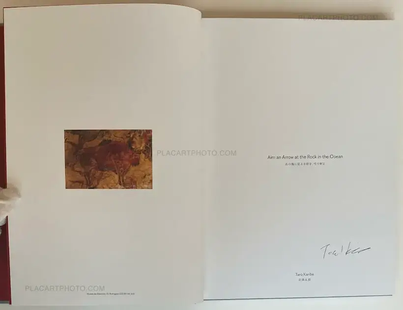 Aim an Arrow at the Rock in the Ocean (SIGNED)