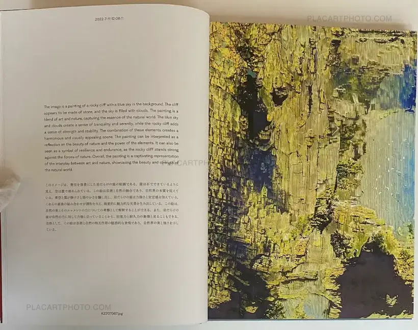 Aim an Arrow at the Rock in the Ocean (SIGNED)