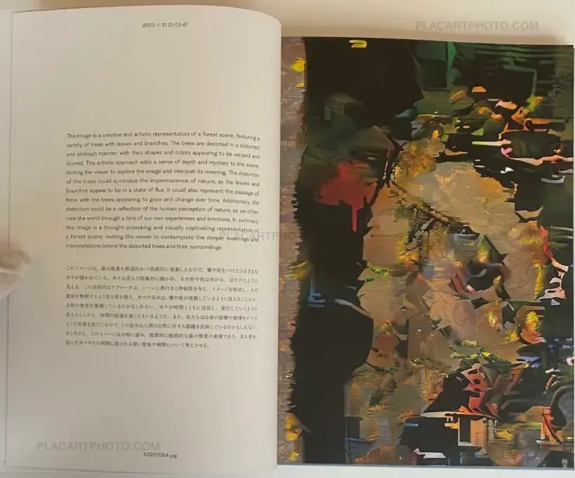 Aim an Arrow at the Rock in the Ocean (SIGNED)