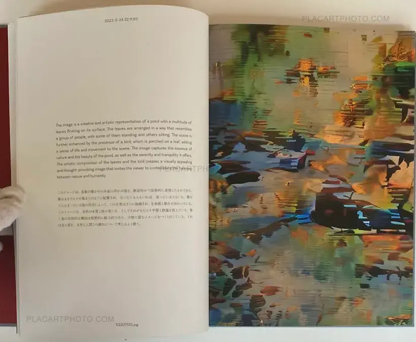 Aim an Arrow at the Rock in the Ocean (SIGNED)