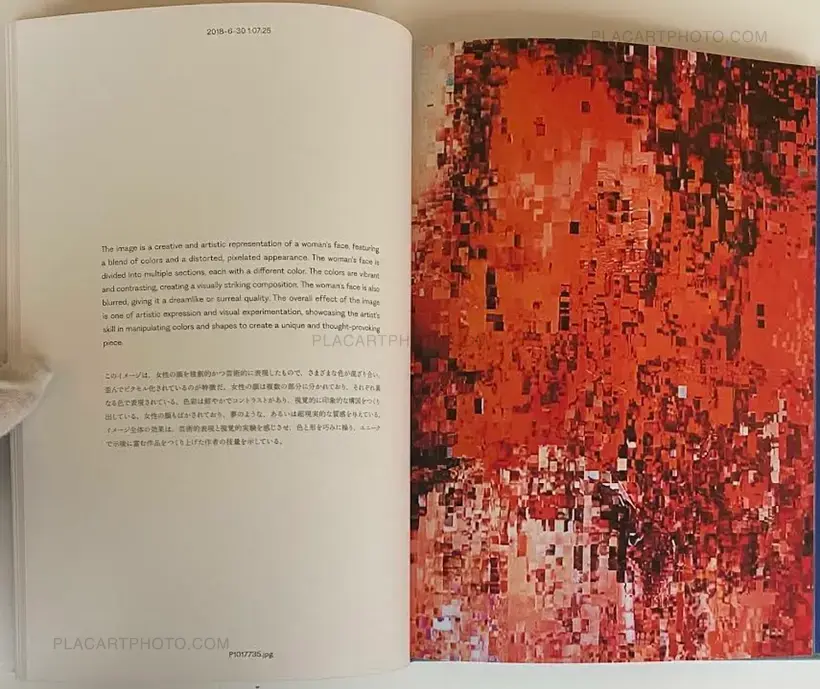 Aim an Arrow at the Rock in the Ocean (SIGNED)