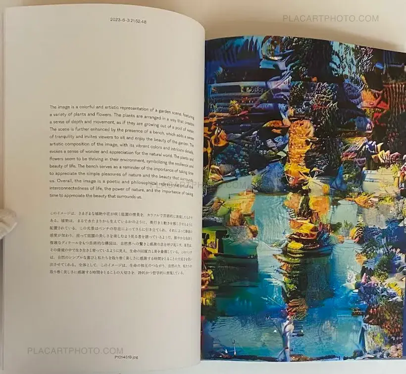 Aim an Arrow at the Rock in the Ocean (SIGNED)