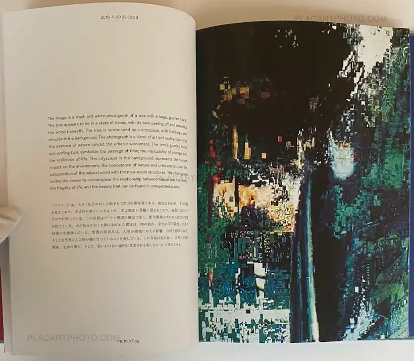 Aim an Arrow at the Rock in the Ocean (SIGNED)