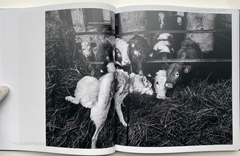 NO MAN'S LAND (SIGNED)