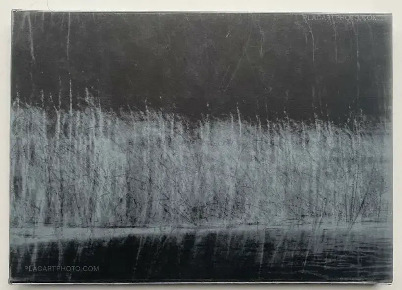 The Lake (Edt of 35)