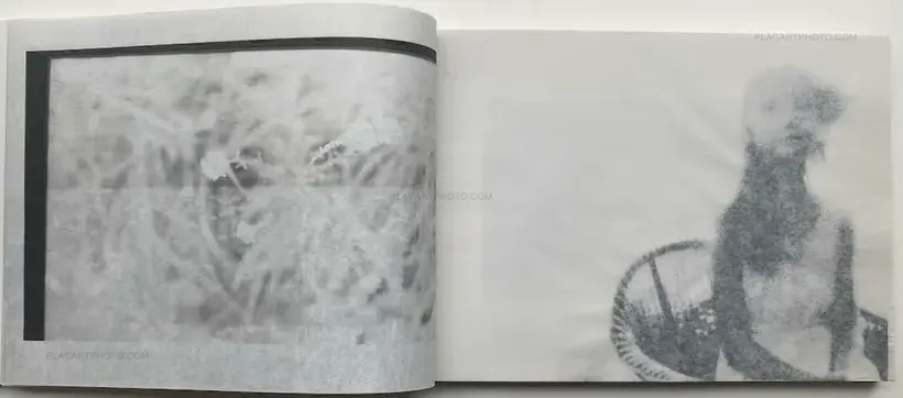 The Lake (Edt of 35)