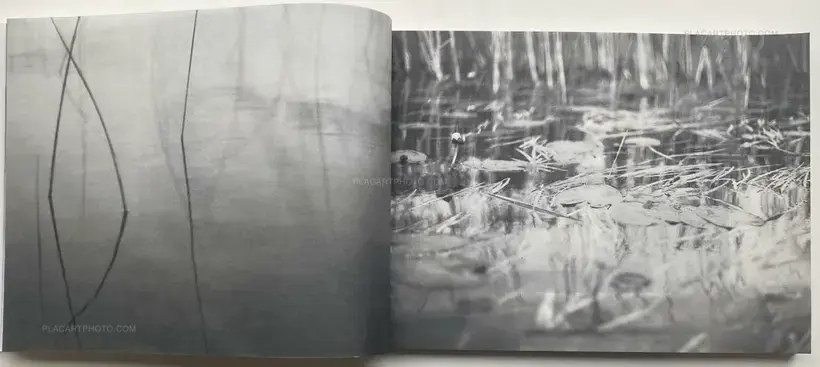 The Lake (Edt of 35)