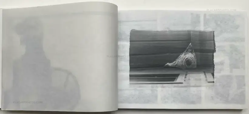 The Lake (Edt of 35)