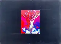 Barakei / Killed by Roses(Revisited Edition)