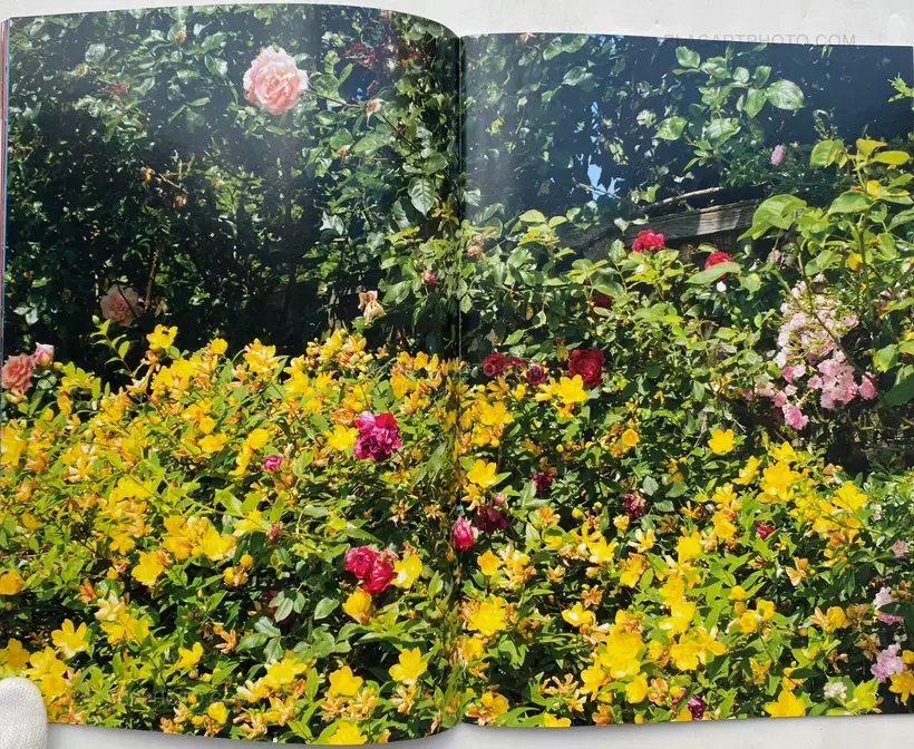 This is My Driver's Licence