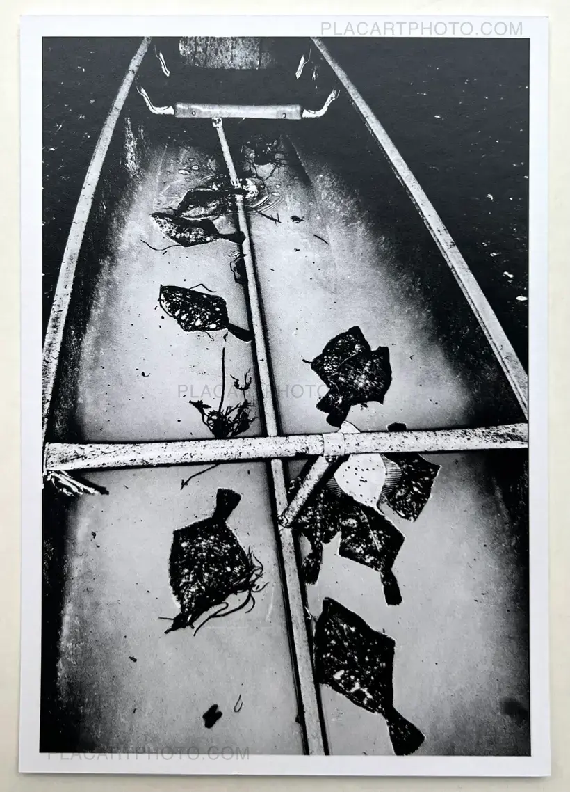 Cœur en chasse (Signed)