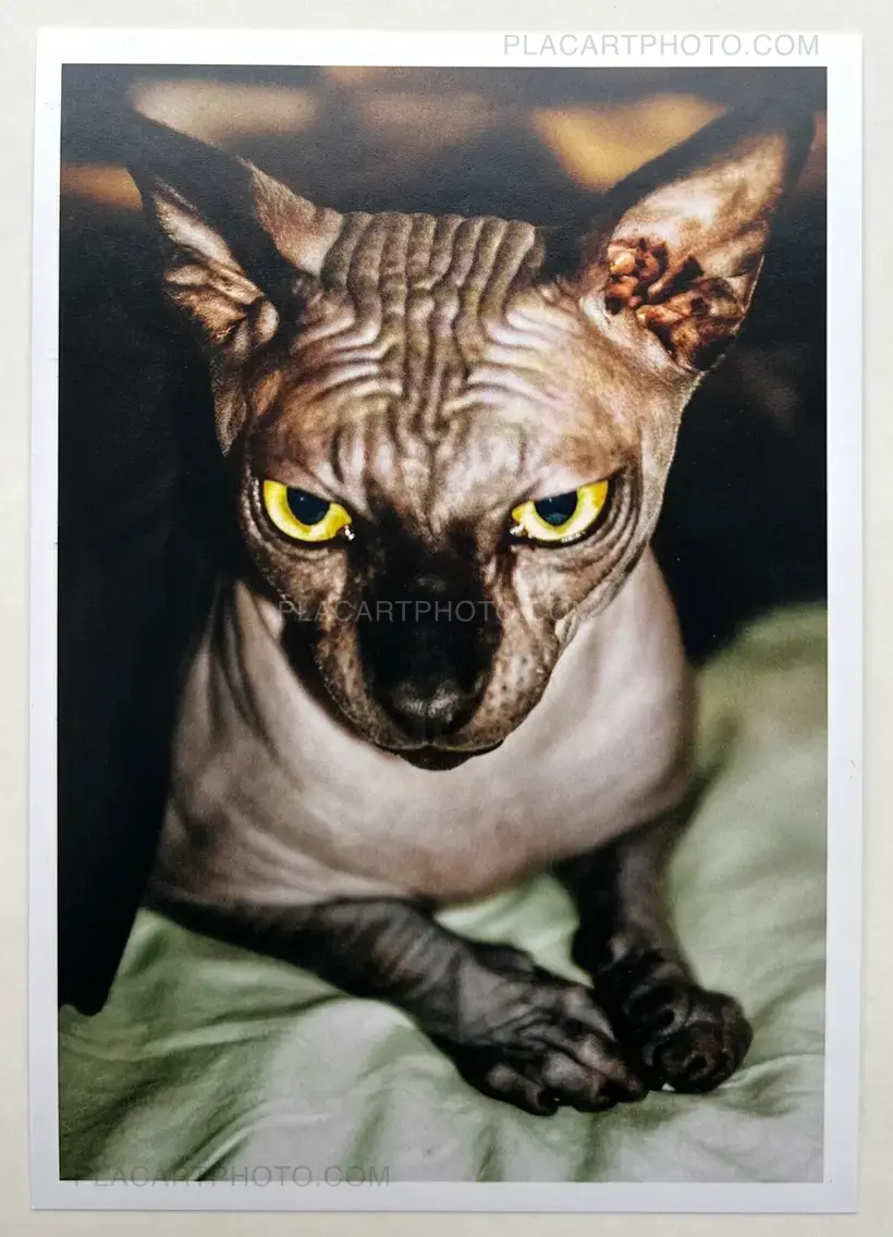 Cœur en chasse (Signed)