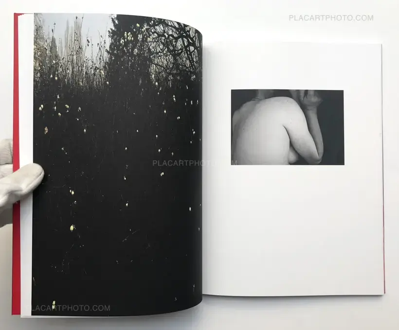 Elite controllers (SIGNED)