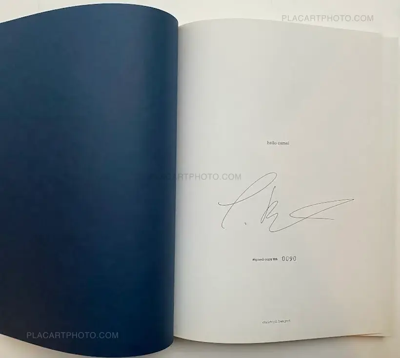 hello camel (SIGNED)