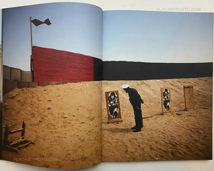 hello camel (SIGNED)