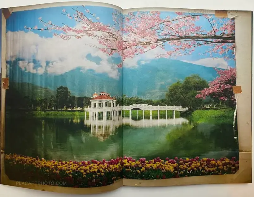 hello camel (SIGNED)