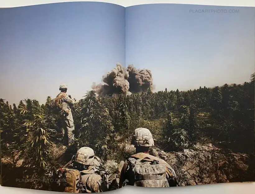 hello camel (SIGNED)