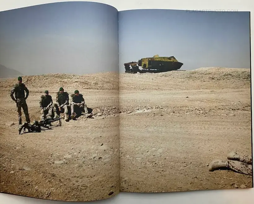 hello camel (SIGNED)