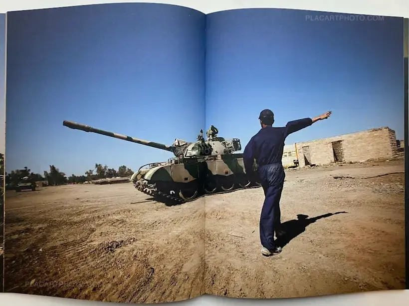 hello camel (SIGNED)