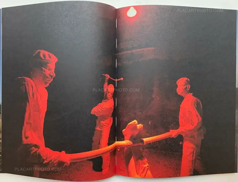 hello camel (SIGNED)