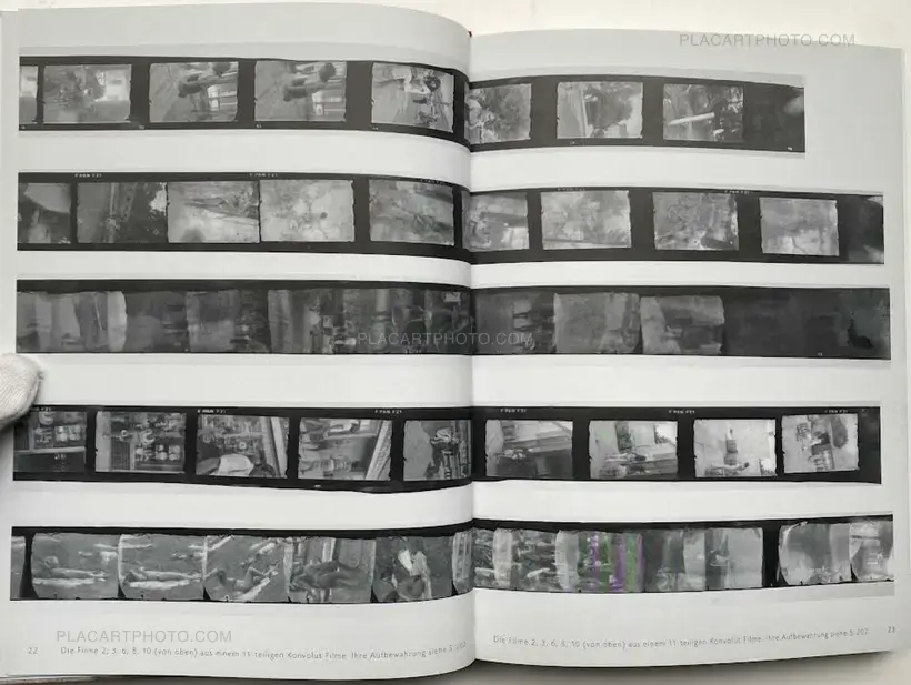 Die Stadt der Frauen