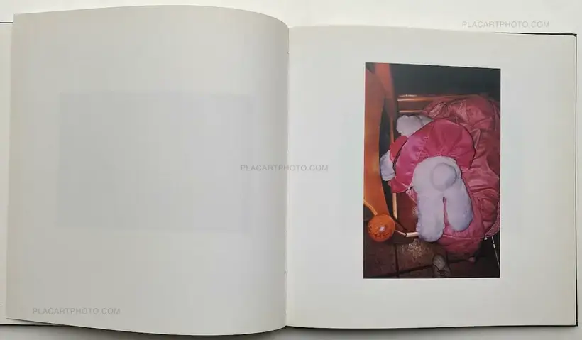 WILLIAM EGGLESTON THE HASSELBLAD AWARD 1998