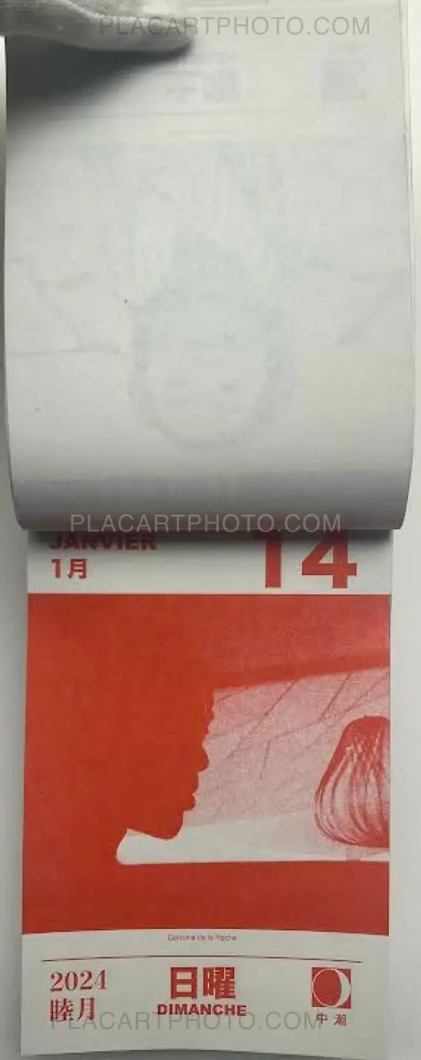 HIKARI 2024 (Edt of 50)