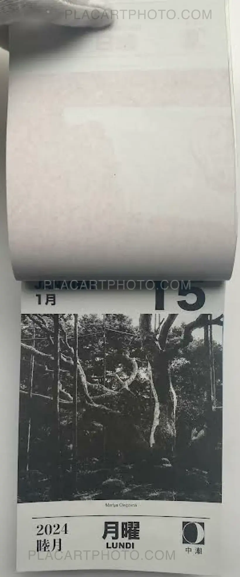 HIKARI 2024 (Edt of 50)