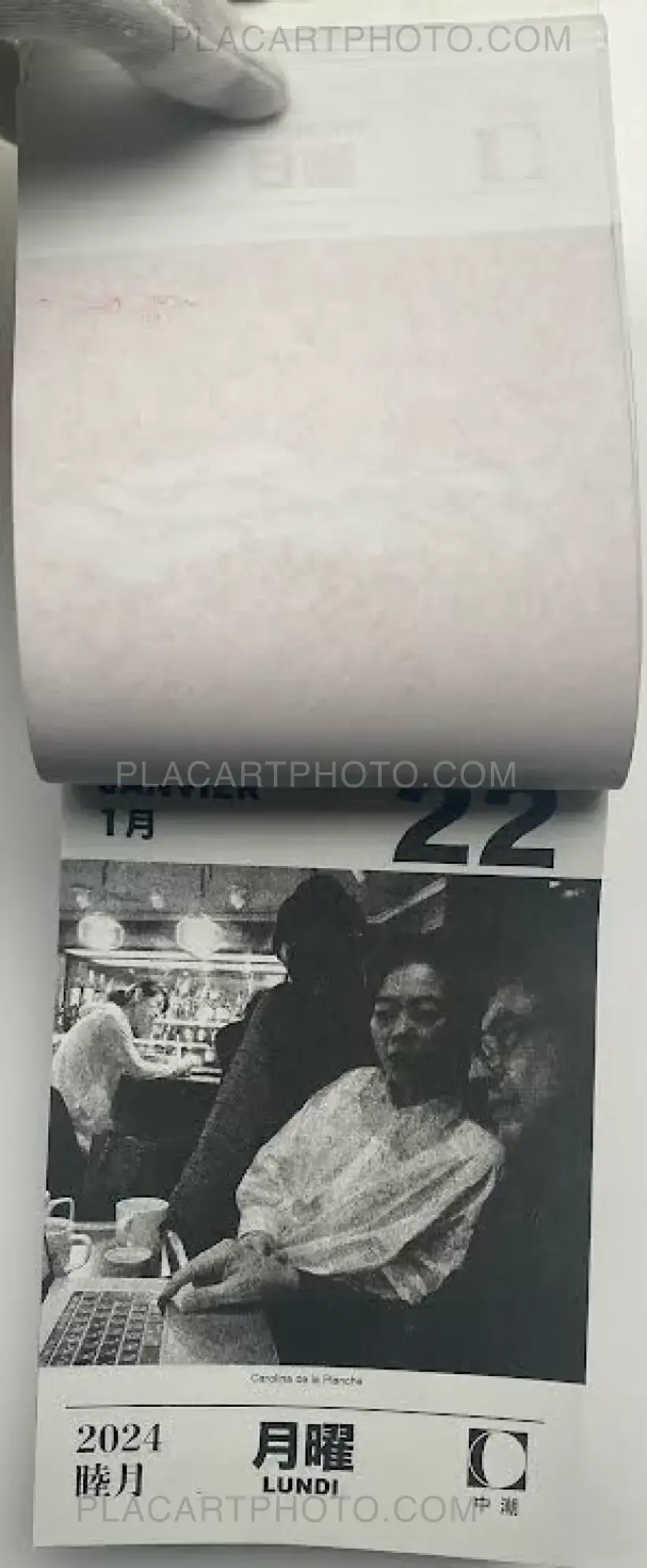 HIKARI 2024 (Edt of 50)