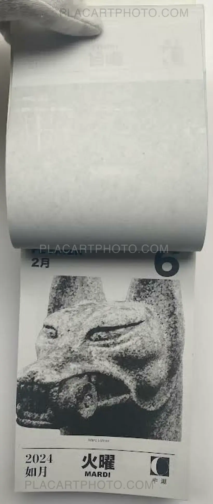 HIKARI 2024 (Edt of 50)