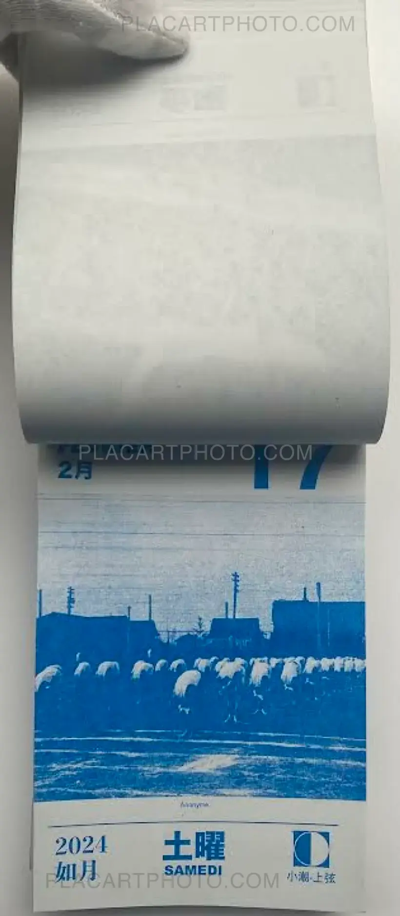 HIKARI 2024 (Edt of 50)